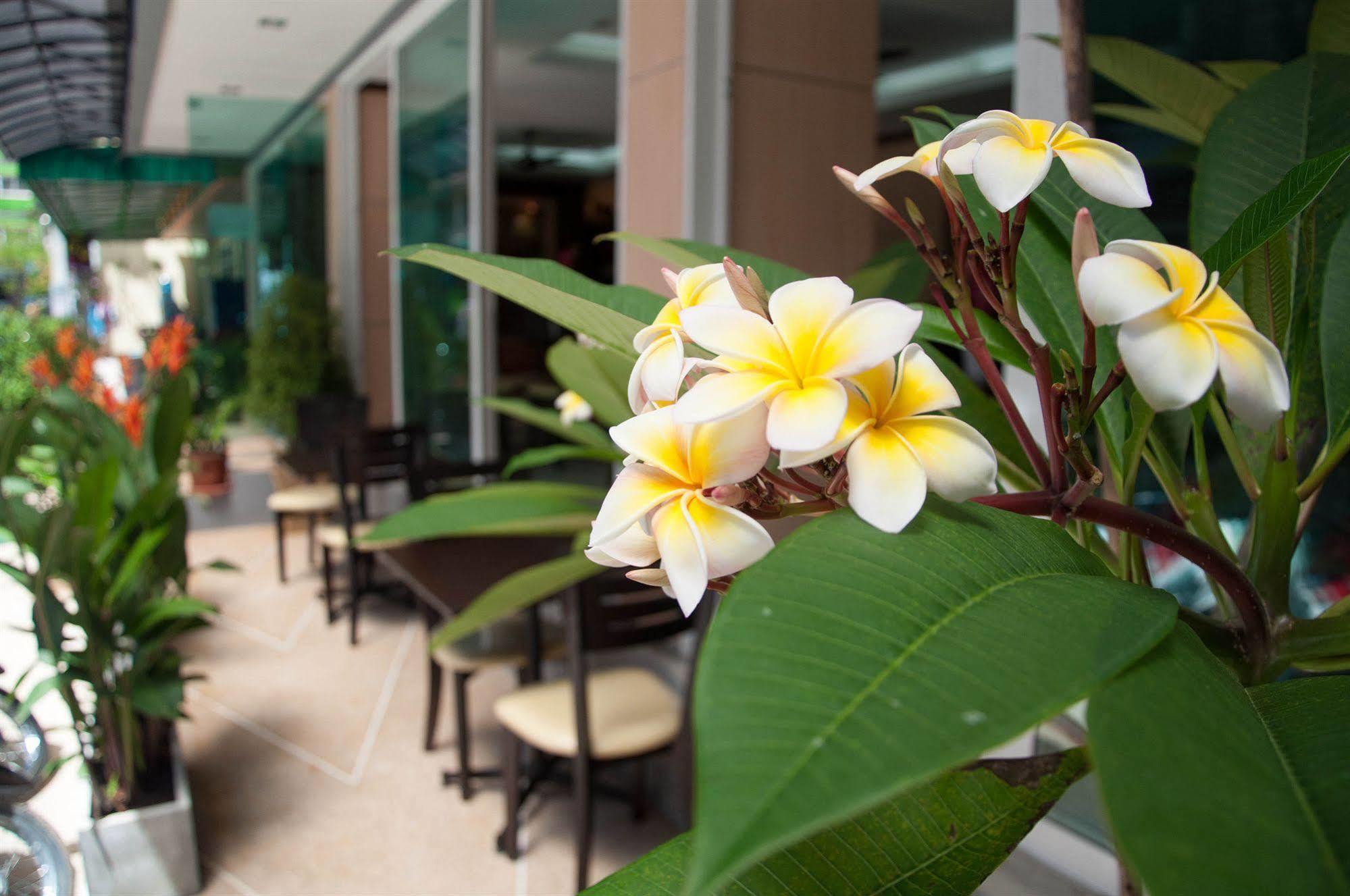 Hotel Patong Mansion - Sha Certified Zewnętrze zdjęcie
